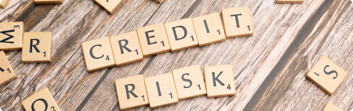 Credit risk assessment